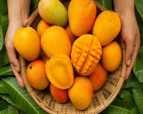 Mango diplomacy goes west: Seattle gets a taste of India’s summer king